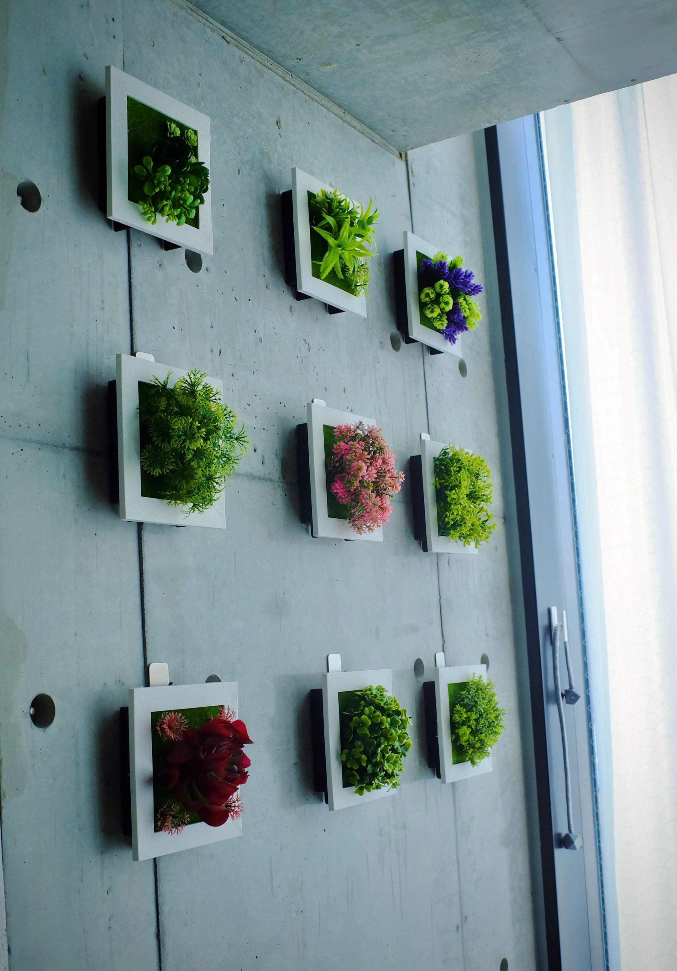 Wall with plants
